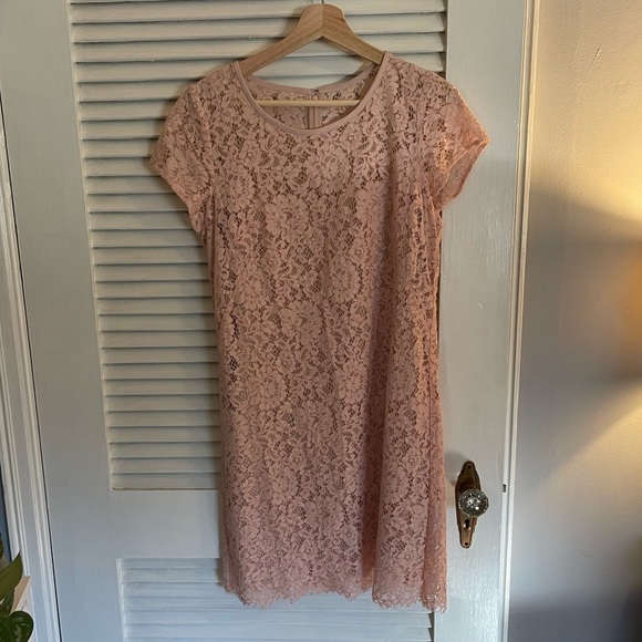 LOFT | Ann Taylor Light Pink Flutter Lace Dress - Picture 2 of 4
